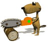 image castor